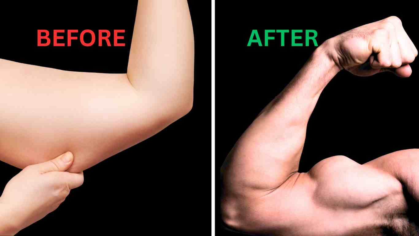 How To Get Big Arms If Your Skinny